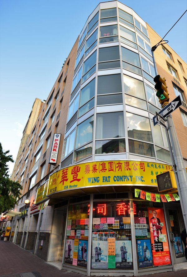 Hester Gardens Building, 158 Hester Street, New York, NY, 10013, Chinatown NYC Condos